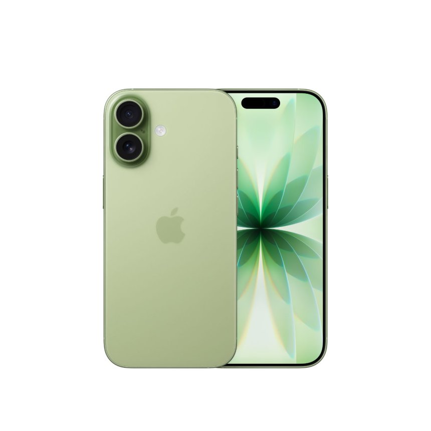 iPhone 17 256 GB Salvie