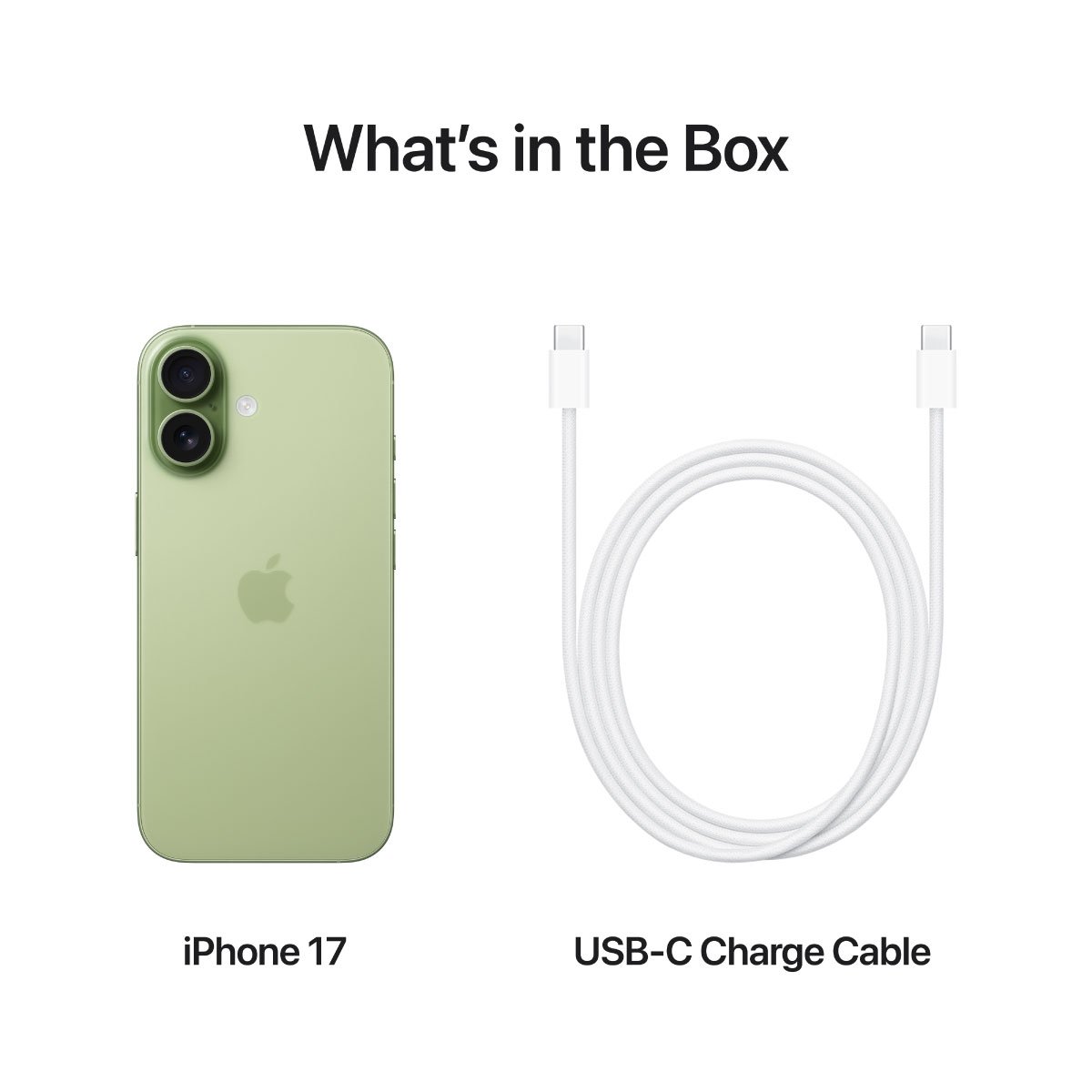 Product preview