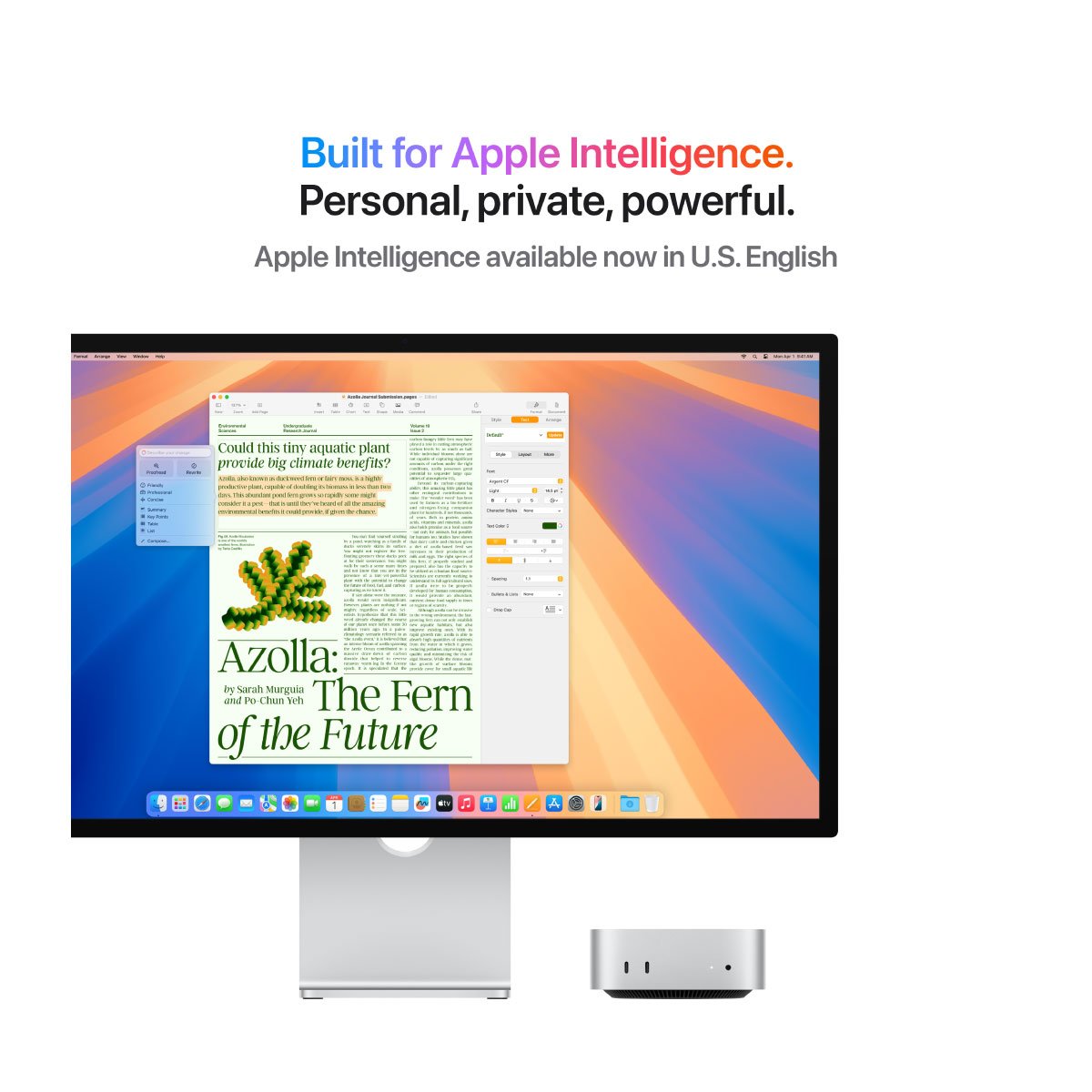 Product preview